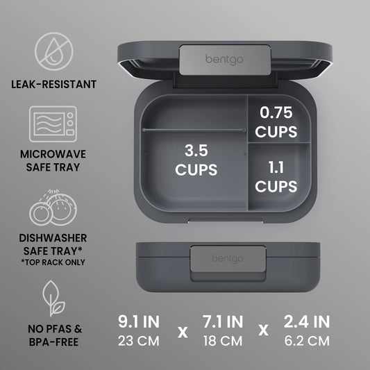 Bentgo Modern Lunch Box